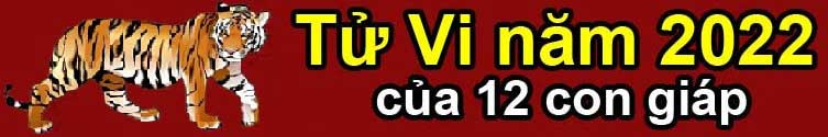 Tử vi trọn đời 2022